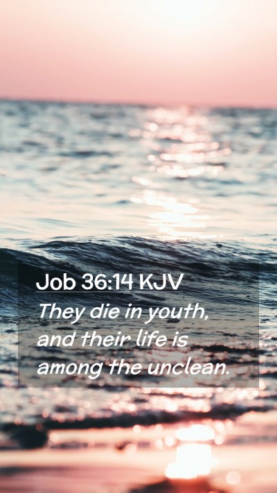 Picture 02 - Job 36:14 KJV Mobile Phone Wallpaper - They die in youth, and their life is among the - Mobile Bible Verse Wallpaper