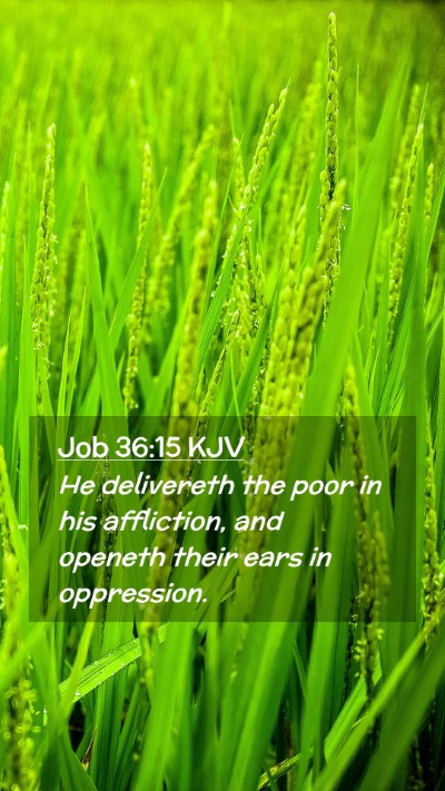 Picture 02 - Job 36:15 KJV Mobile Phone Wallpaper - He delivereth the poor in his affliction, and - Mobile Bible Verse Wallpaper