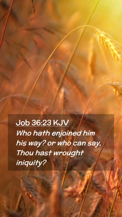 Picture 02 - Job 36:23 KJV Mobile Phone Wallpaper - Who hath enjoined him his way? or who can say, - Mobile Bible Verse Wallpaper