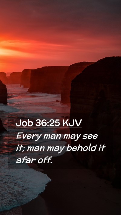 Picture 02 - Job 36:25 KJV Mobile Phone Wallpaper - Every man may see it; man may behold it afar - Mobile Bible Verse Wallpaper