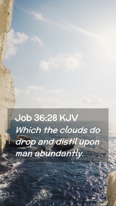 Picture 02 - Job 36:28 KJV Mobile Phone Wallpaper - Which the clouds do drop and distil upon man - Mobile Bible Verse Wallpaper