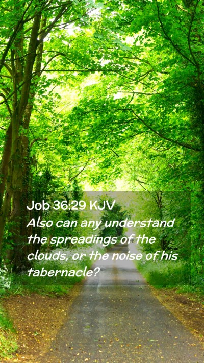 Picture 02 - Job 36:29 KJV Mobile Phone Wallpaper - Also can any understand the spreadings of the - Mobile Bible Verse Wallpaper