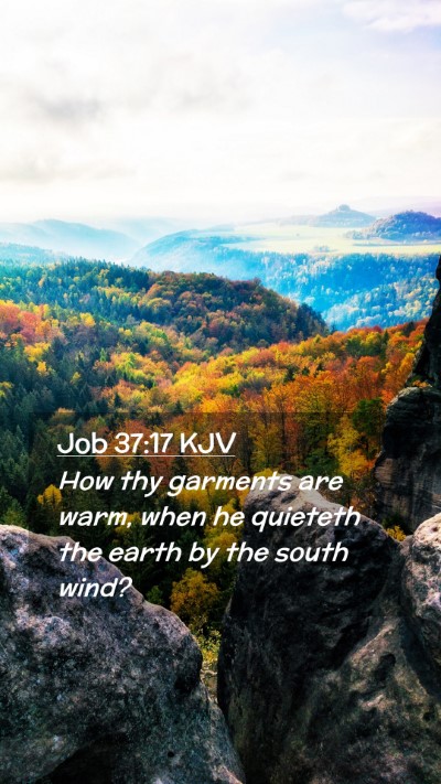 Picture 02 - Job 37:17 KJV Mobile Phone Wallpaper - How thy garments are warm, when he quieteth the - Mobile Bible Verse Wallpaper