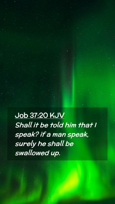 Picture 02 - Job 37:20 KJV Mobile Phone Wallpaper - Shall it be told him that I speak? if a man - Mobile Bible Verse Wallpaper