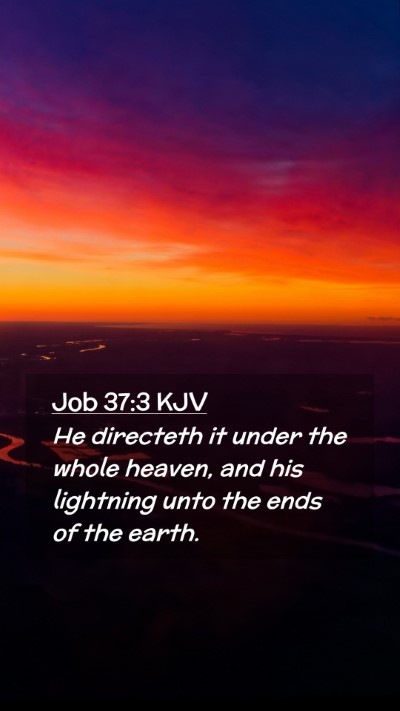 Picture 02 - Job 37:3 KJV Mobile Phone Wallpaper - He directeth it under the whole heaven, and his - Mobile Bible Verse Wallpaper