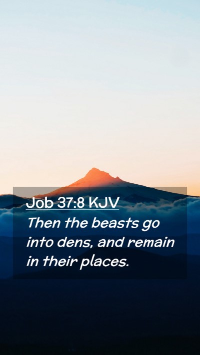 Picture 02 - Job 37:8 KJV Mobile Phone Wallpaper - Then the beasts go into dens, and remain in their - Mobile Bible Verse Wallpaper