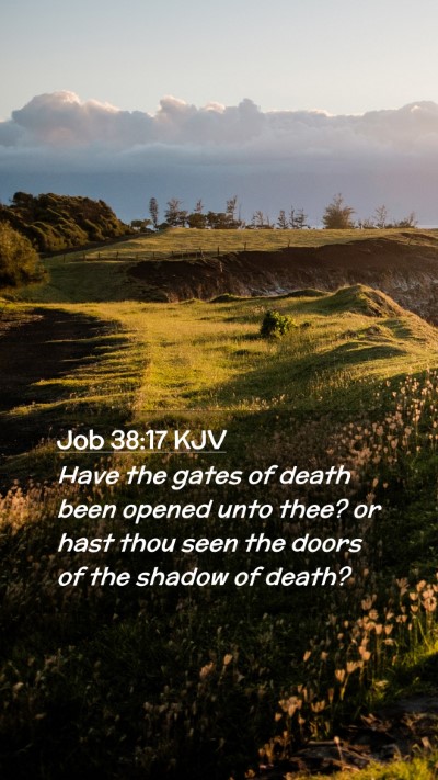 Picture 02 - Job 38:17 KJV Mobile Phone Wallpaper - Have the gates of death been opened unto thee? or - Mobile Bible Verse Wallpaper