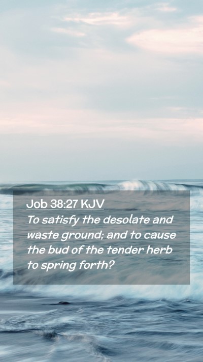 Picture 02 - Job 38:27 KJV Mobile Phone Wallpaper - To satisfy the desolate and waste ground; and to - Mobile Bible Verse Wallpaper