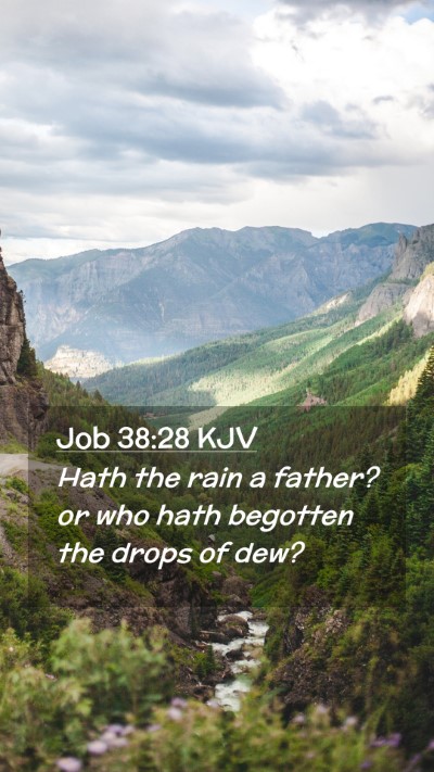 Picture 02 - Job 38:28 KJV Mobile Phone Wallpaper - Hath the rain a father? or who hath begotten the - Mobile Bible Verse Wallpaper