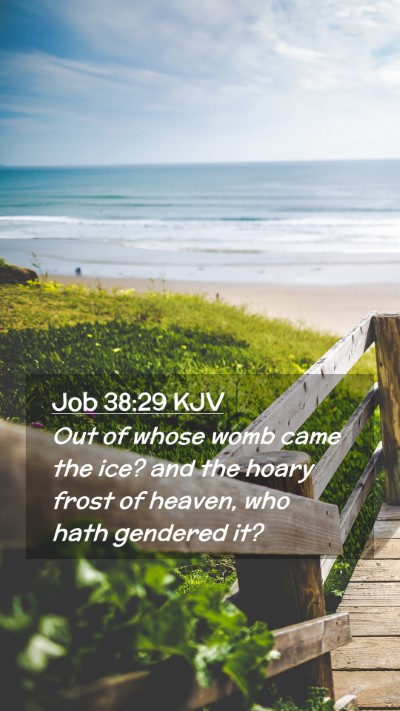 Picture 02 - Job 38:29 KJV Mobile Phone Wallpaper - Out of whose womb came the ice? and the hoary - Mobile Bible Verse Wallpaper