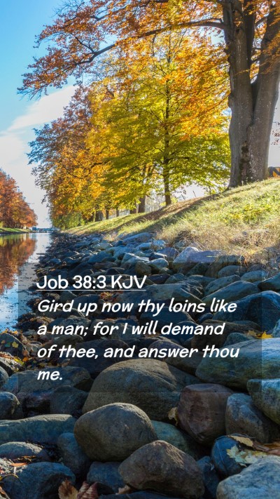 Picture 02 - Job 38:3 KJV Mobile Phone Wallpaper - Gird up now thy loins like a man; for I will - Mobile Bible Verse Wallpaper