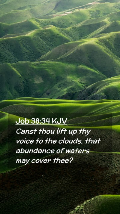 Picture 02 - Job 38:34 KJV Mobile Phone Wallpaper - Canst thou lift up thy voice to the clouds, that - Mobile Bible Verse Wallpaper