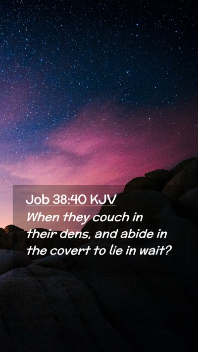 Picture 02 - Job 38:40 KJV Mobile Phone Wallpaper - When they couch in their dens, and abide in the - Mobile Bible Verse Wallpaper
