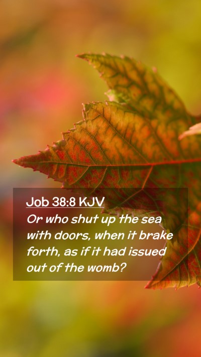 Picture 02 - Job 38:8 KJV Mobile Phone Wallpaper - Or who shut up the sea with doors, when it brake - Mobile Bible Verse Wallpaper