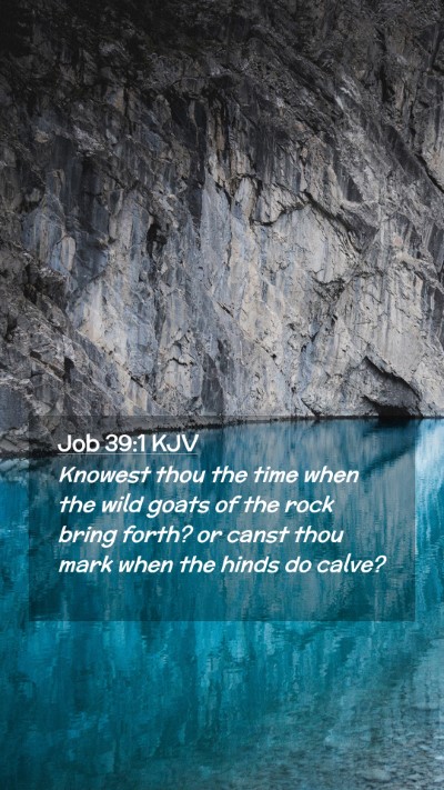 Picture 02 - Job 39:1 KJV Mobile Phone Wallpaper - Knowest thou the time when the wild goats of the - Mobile Bible Verse Wallpaper