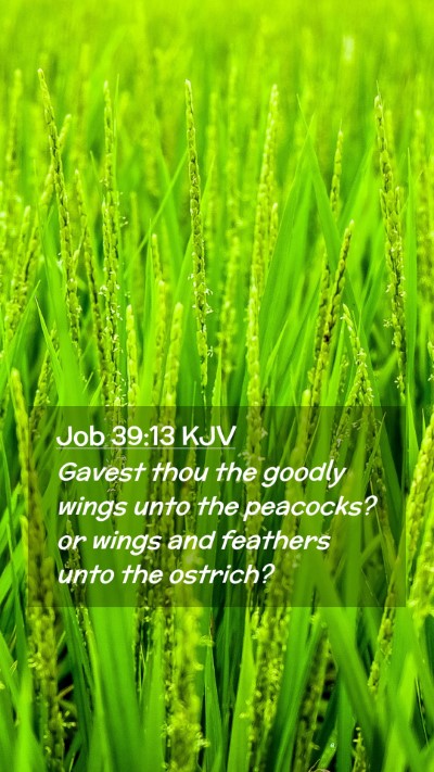 Picture 02 - Job 39:13 KJV Mobile Phone Wallpaper - Gavest thou the goodly wings unto the peacocks? - Mobile Bible Verse Wallpaper