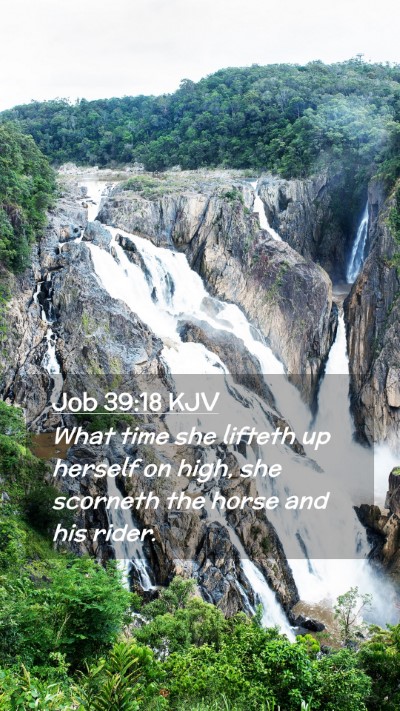Picture 02 - Job 39:18 KJV Mobile Phone Wallpaper - What time she lifteth up herself on high, she - Mobile Bible Verse Wallpaper