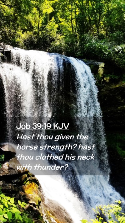 Picture 02 - Job 39:19 KJV Mobile Phone Wallpaper - Hast thou given the horse strength? hast thou - Mobile Bible Verse Wallpaper