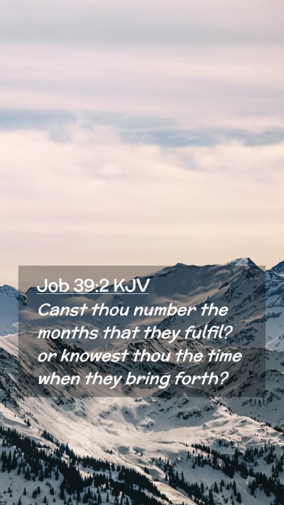 Picture 02 - Job 39:2 KJV Mobile Phone Wallpaper - Canst thou number the months that they fulfil? or - Mobile Bible Verse Wallpaper