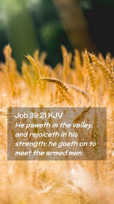 Picture 02 - Job 39:21 KJV Mobile Phone Wallpaper - He paweth in the valley, and rejoiceth in his - Mobile Bible Verse Wallpaper