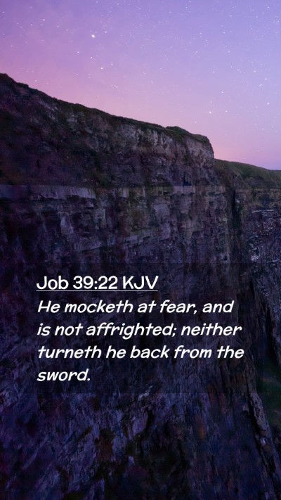 Picture 02 - Job 39:22 KJV Mobile Phone Wallpaper - He mocketh at fear, and is not affrighted; - Mobile Bible Verse Wallpaper