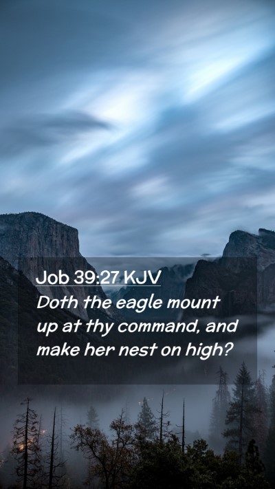 Picture 02 - Job 39:27 KJV Mobile Phone Wallpaper - Doth the eagle mount up at thy command, and make - Mobile Bible Verse Wallpaper