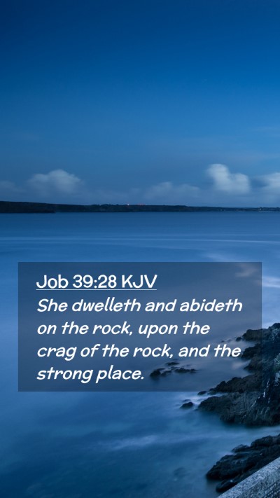 Picture 02 - Job 39:28 KJV Mobile Phone Wallpaper - She dwelleth and abideth on the rock, upon the - Mobile Bible Verse Wallpaper