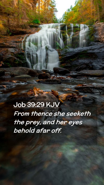 Picture 02 - Job 39:29 KJV Mobile Phone Wallpaper - From thence she seeketh the prey, and her eyes - Mobile Bible Verse Wallpaper