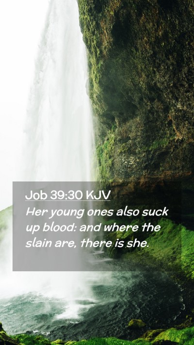 Picture 02 - Job 39:30 KJV Mobile Phone Wallpaper - Her young ones also suck up blood: and where the - Mobile Bible Verse Wallpaper