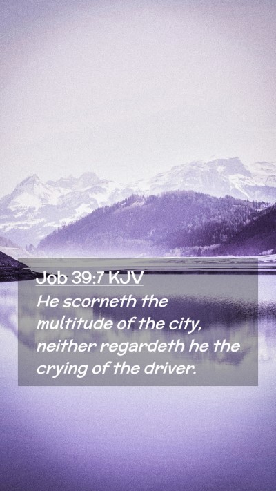 Picture 02 - Job 39:7 KJV Mobile Phone Wallpaper - He scorneth the multitude of the city, neither - Mobile Bible Verse Wallpaper