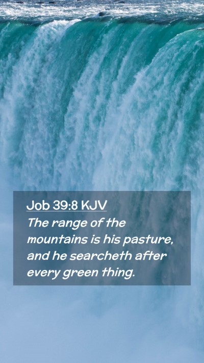 Picture 02 - Job 39:8 KJV Mobile Phone Wallpaper - The range of the mountains is his pasture, and he - Mobile Bible Verse Wallpaper