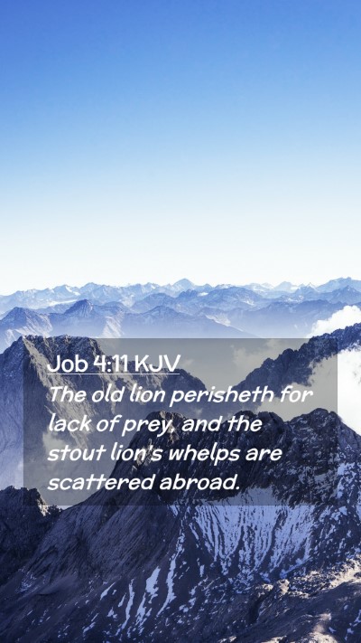 Picture 02 - Job 4:11 KJV Mobile Phone Wallpaper - The old lion perisheth for lack of prey, and the - Mobile Bible Verse Wallpaper