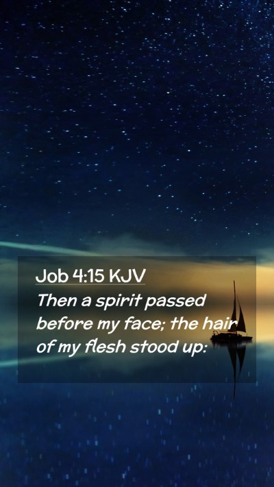 Picture 02 - Job 4:15 KJV Mobile Phone Wallpaper - Then a spirit passed before my face; the hair of - Mobile Bible Verse Wallpaper