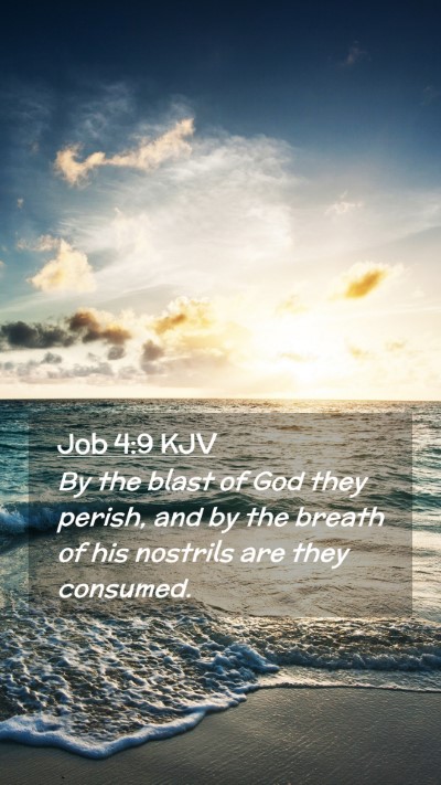 Picture 02 - Job 4:9 KJV Mobile Phone Wallpaper - By the blast of God they perish, and by the - Mobile Bible Verse Wallpaper