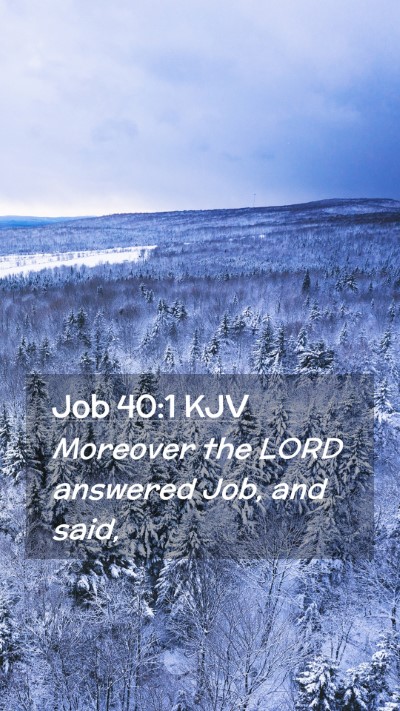 Picture 02 - Job 40:1 KJV Mobile Phone Wallpaper - Moreover the LORD answered Job, and - Mobile Bible Verse Wallpaper