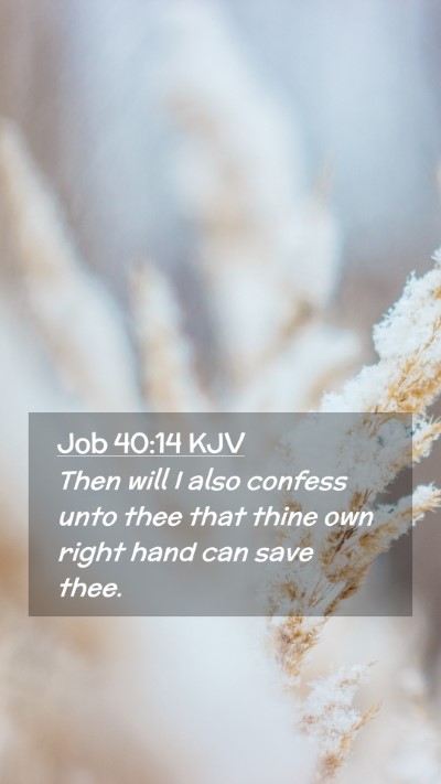 Picture 02 - Job 40:14 KJV Mobile Phone Wallpaper - Then will I also confess unto thee that thine own - Mobile Bible Verse Wallpaper