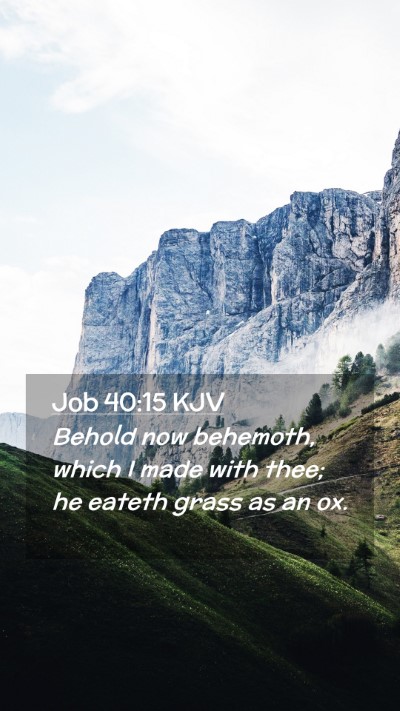 Picture 02 - Job 40:15 KJV Mobile Phone Wallpaper - Behold now behemoth, which I made with thee; he - Mobile Bible Verse Wallpaper