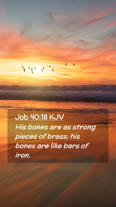 Picture 02 - Job 40:18 KJV Mobile Phone Wallpaper - His bones are as strong pieces of brass; his - Mobile Bible Verse Wallpaper
