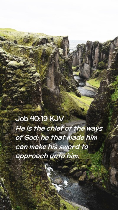 Picture 02 - Job 40:19 KJV Mobile Phone Wallpaper - He is the chief of the ways of God: he that made - Mobile Bible Verse Wallpaper