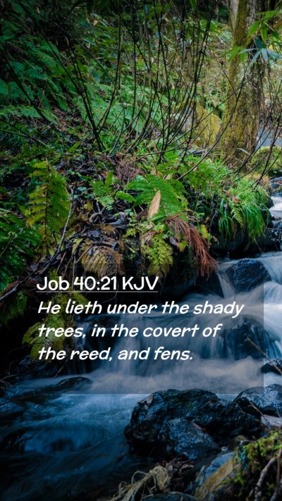 Picture 02 - Job 40:21 KJV Mobile Phone Wallpaper - He lieth under the shady trees, in the covert of - Mobile Bible Verse Wallpaper
