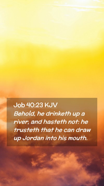 Picture 02 - Job 40:23 KJV Mobile Phone Wallpaper - Behold, he drinketh up a river, and hasteth not: - Mobile Bible Verse Wallpaper