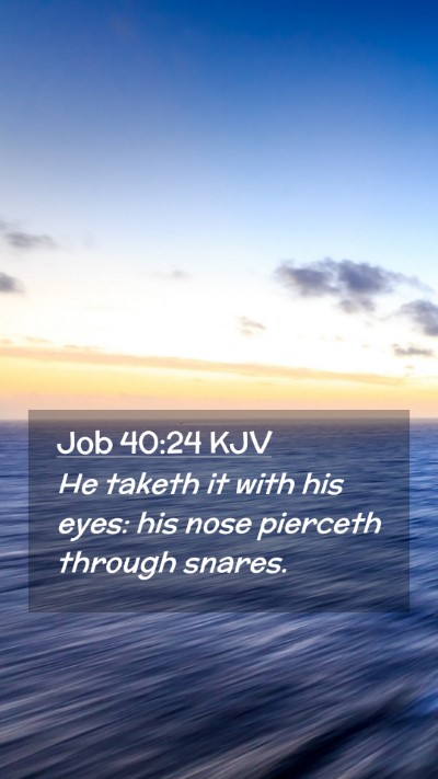 Picture 02 - Job 40:24 KJV Mobile Phone Wallpaper - He taketh it with his eyes: his nose pierceth - Mobile Bible Verse Wallpaper