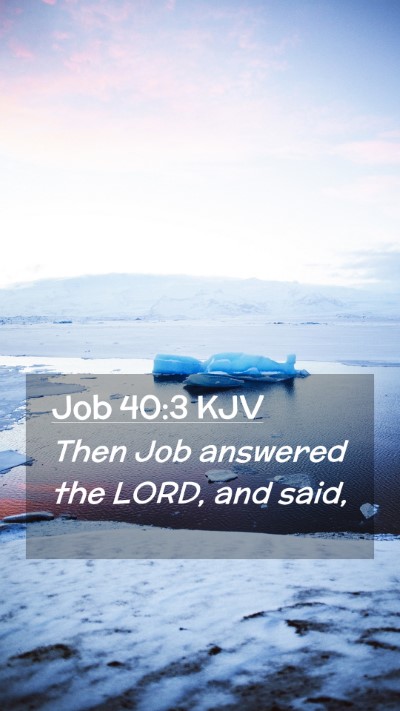 Picture 02 - Job 40:3 KJV Mobile Phone Wallpaper - Then Job answered the LORD, and - Mobile Bible Verse Wallpaper