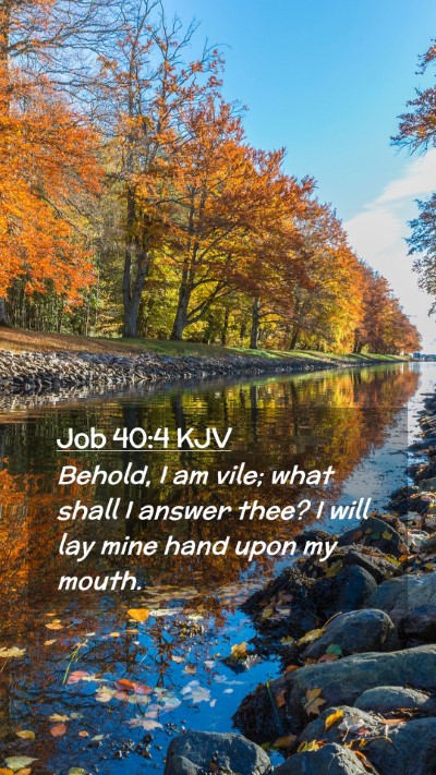 Picture 02 - Job 40:4 KJV Mobile Phone Wallpaper - Behold, I am vile; what shall I answer thee? I - Mobile Bible Verse Wallpaper