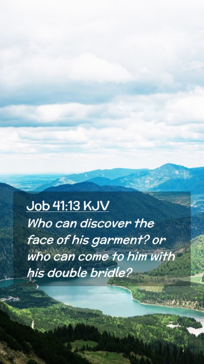 Picture 02 - Job 41:13 KJV Mobile Phone Wallpaper - Who can discover the face of his garment? or who - Mobile Bible Verse Wallpaper