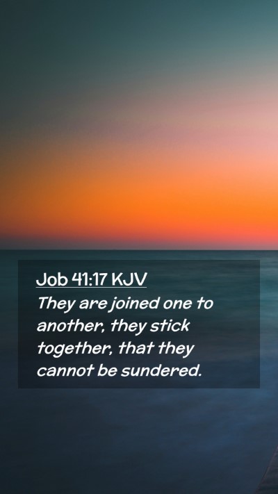 Picture 02 - Job 41:17 KJV Mobile Phone Wallpaper - They are joined one to another, they stick - Mobile Bible Verse Wallpaper