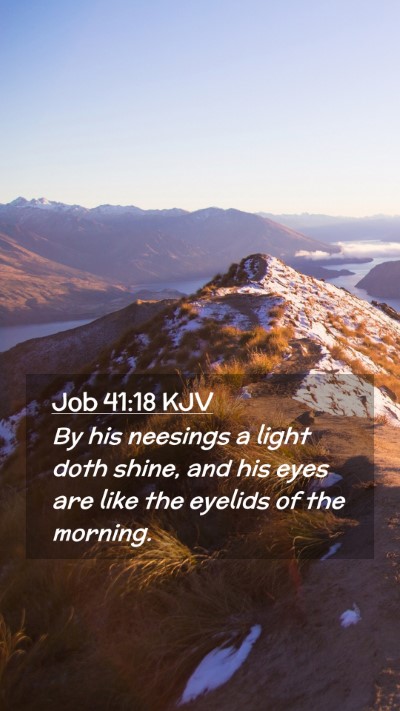 Picture 02 - Job 41:18 KJV Mobile Phone Wallpaper - By his neesings a light doth shine, and his eyes - Mobile Bible Verse Wallpaper