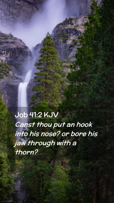 Picture 02 - Job 41:2 KJV Mobile Phone Wallpaper - Canst thou put an hook into his nose? or bore his - Mobile Bible Verse Wallpaper