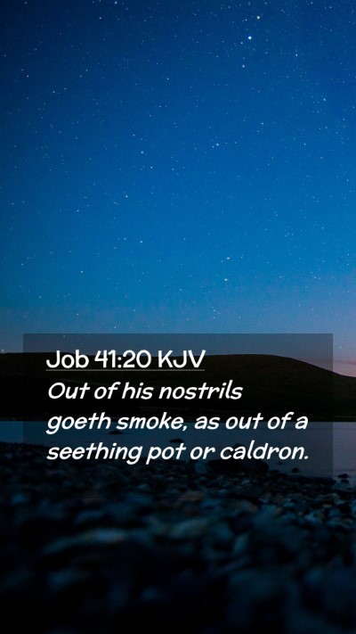 Picture 02 - Job 41:20 KJV Mobile Phone Wallpaper - Out of his nostrils goeth smoke, as out of a - Mobile Bible Verse Wallpaper