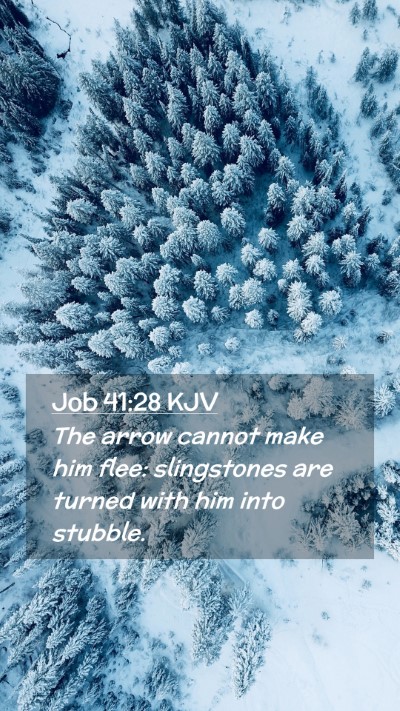 Picture 02 - Job 41:28 KJV Mobile Phone Wallpaper - The arrow cannot make him flee: slingstones are - Mobile Bible Verse Wallpaper